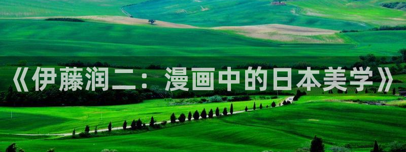 免费看漫画奇漫屋：《伊藤润二：漫画中的日本美学》