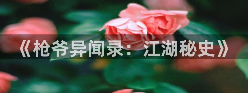 掌中之物漫画奇漫屋：《枪爷异闻录：江湖秘史》