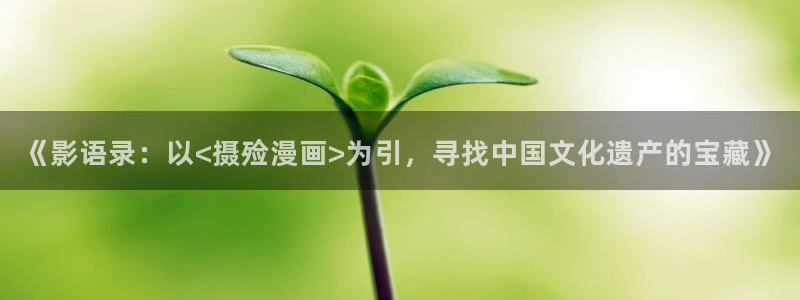 奇漫屋热门漫画：《影语录：以<摄殓漫画>为引，寻找中国文化遗产的宝藏》